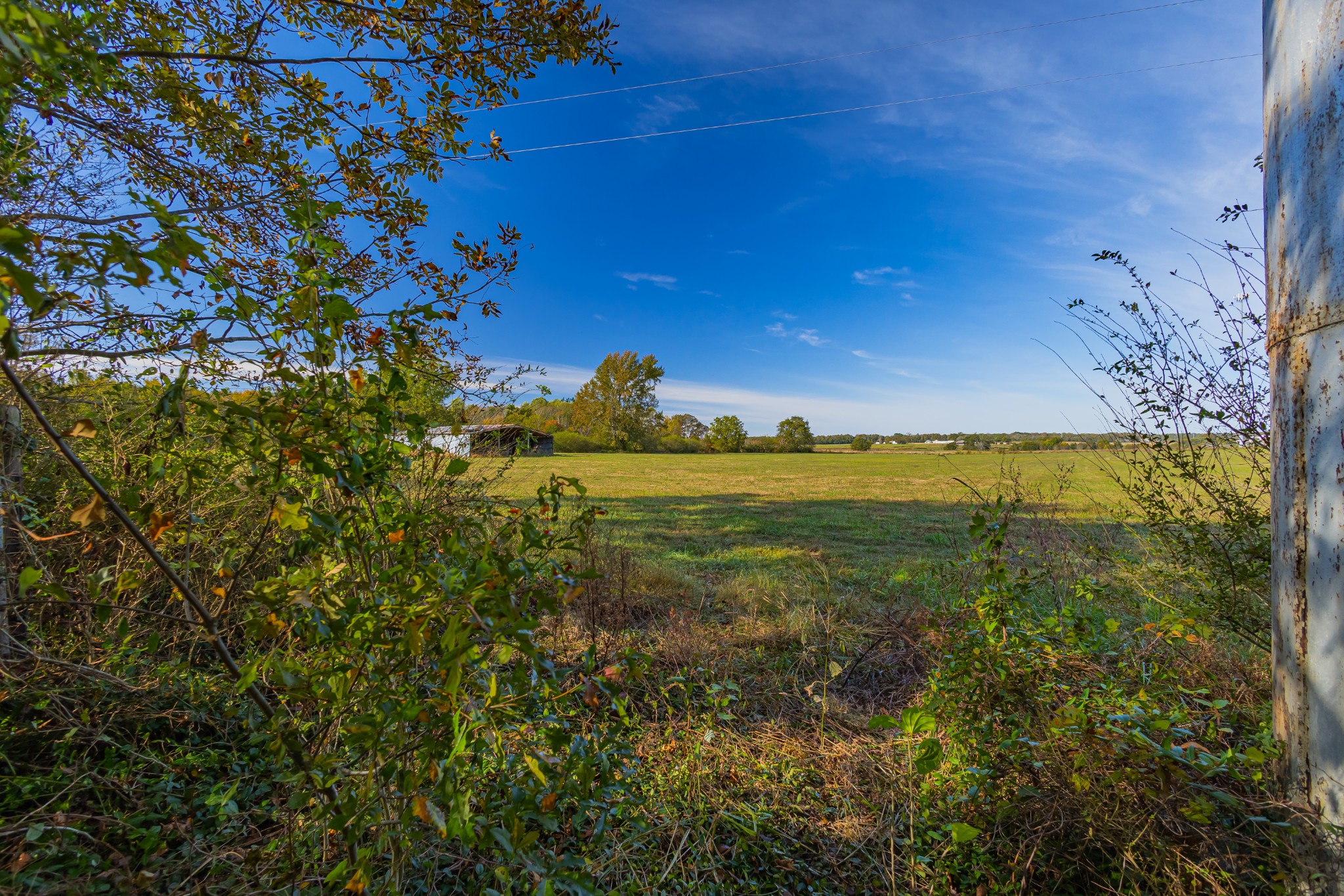 340 Yates Road Hillsboro, TN 37342 - Photo 9 of 69 a view of a lake
