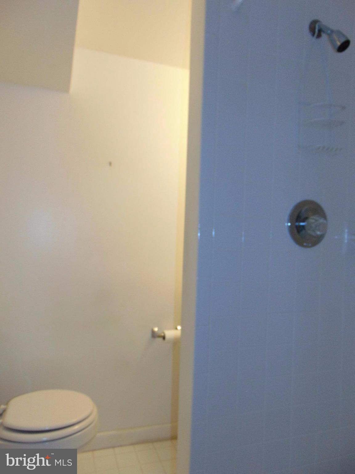 1513 Dellsway Road Baltimore, MD 21286 - Photo 17 of 19 2nd Full Bath Lower Level Separate Shower
