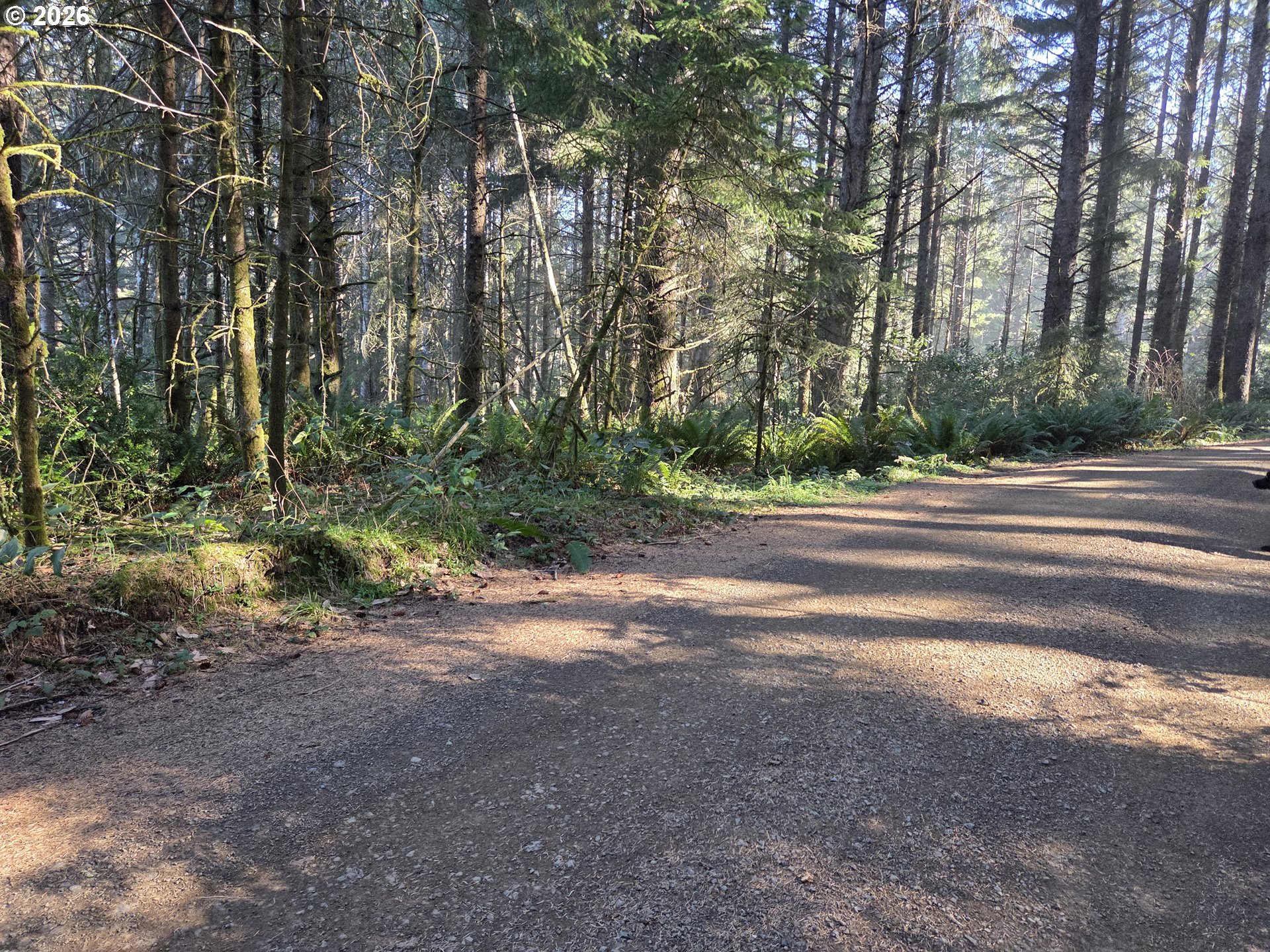Greggs Creek Road, Unit 300 Gold Beach, OR 97444 - Photo 1 of 43 a view of a yard with a trees
