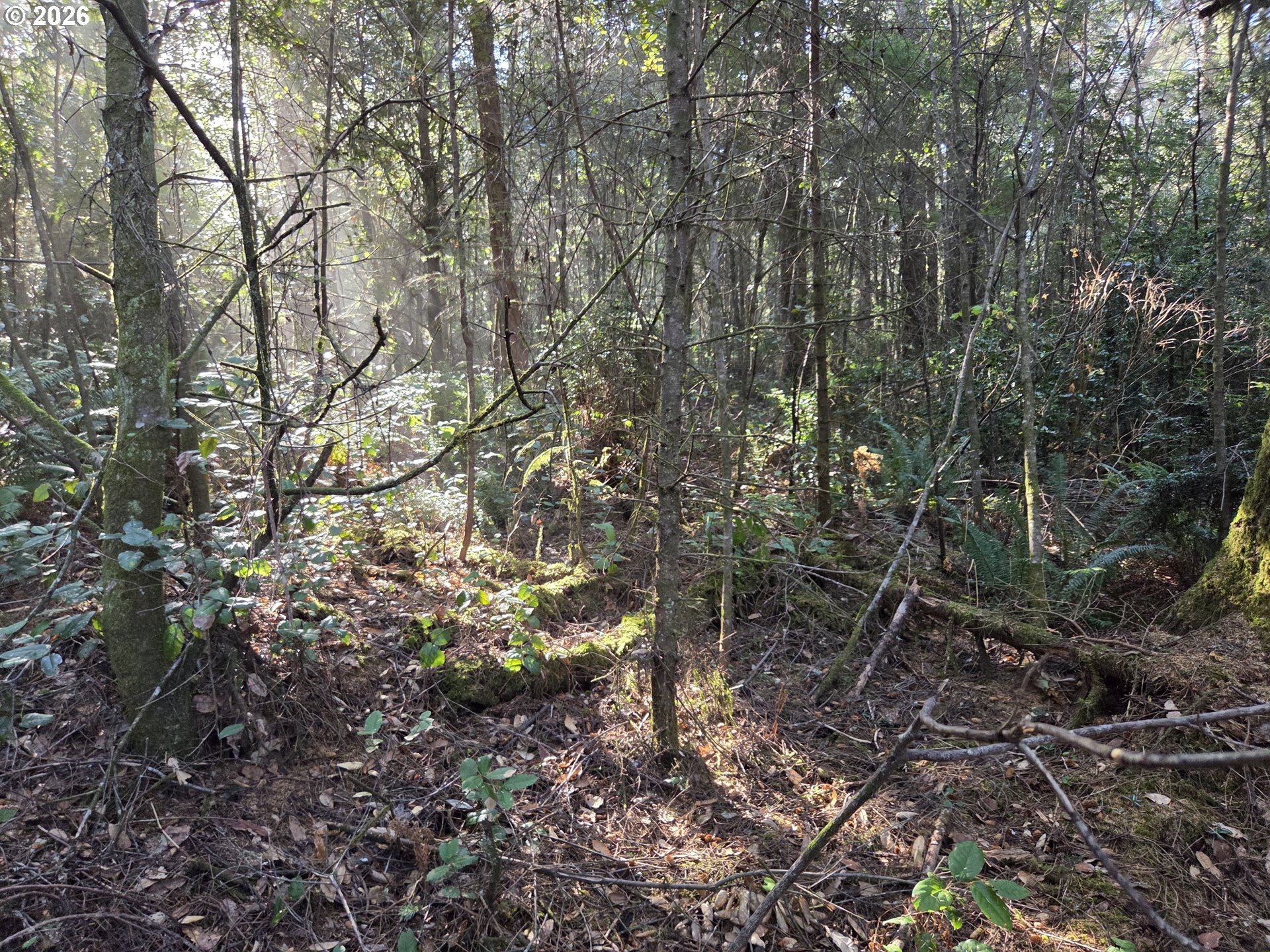Greggs Creek Road, Unit 300 Gold Beach, OR 97444 - Photo 15 of 43 a view of a yard