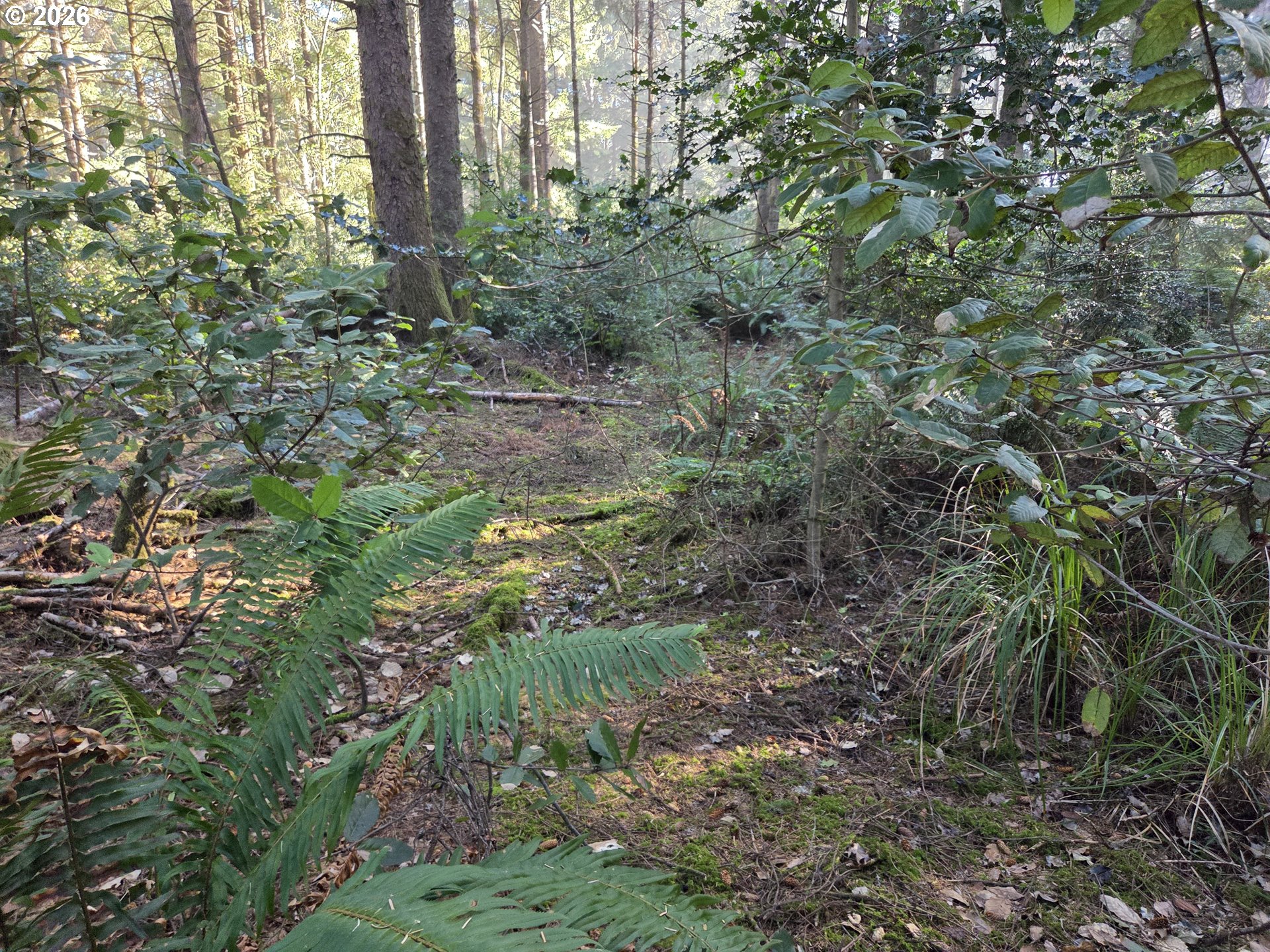 Greggs Creek Road, Unit 300 Gold Beach, OR 97444 - Photo 18 of 43 a view of a garden with a tree