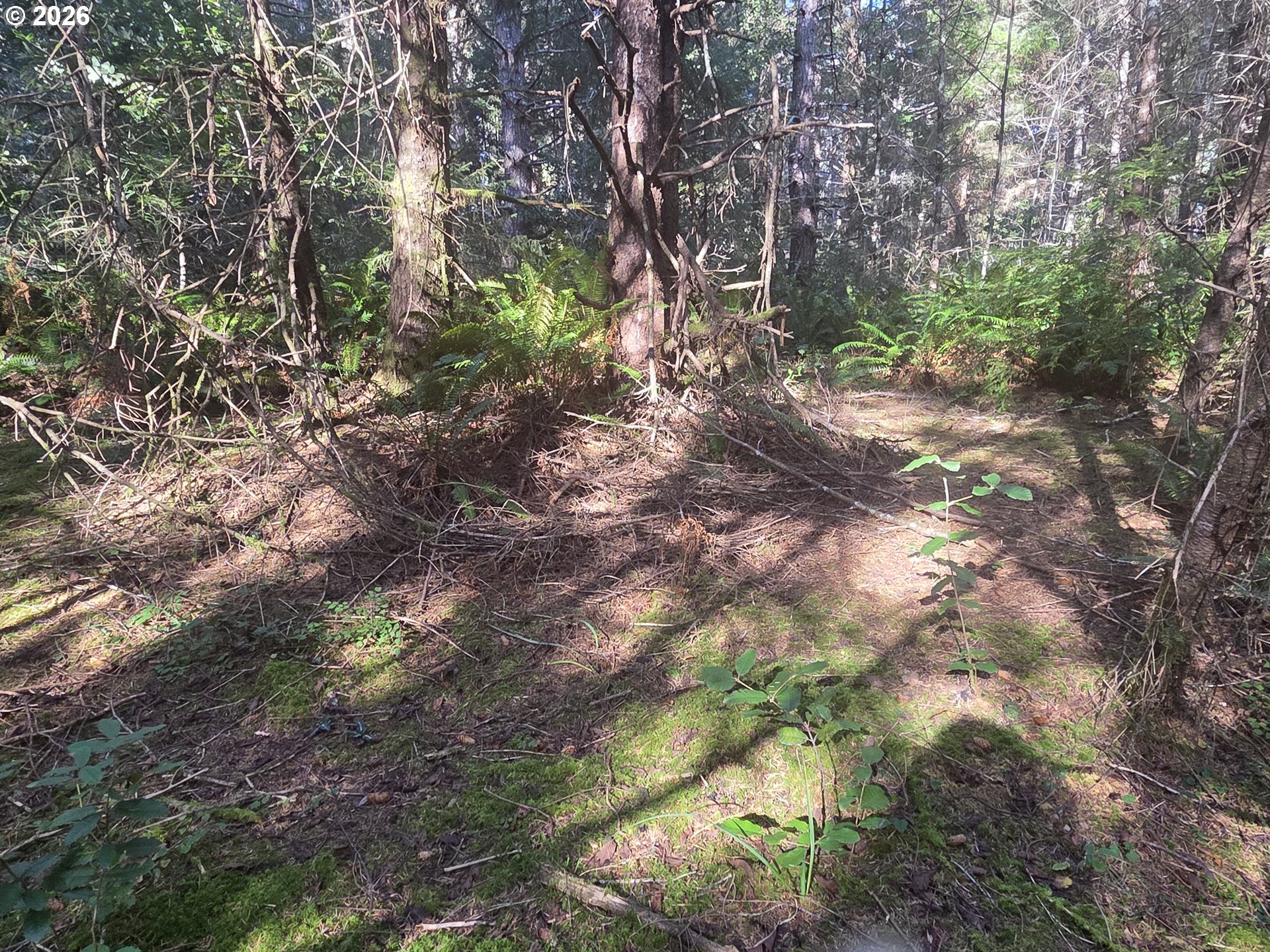 Greggs Creek Road, Unit 300 Gold Beach, OR 97444 - Photo 31 of 43 a backyard of a house