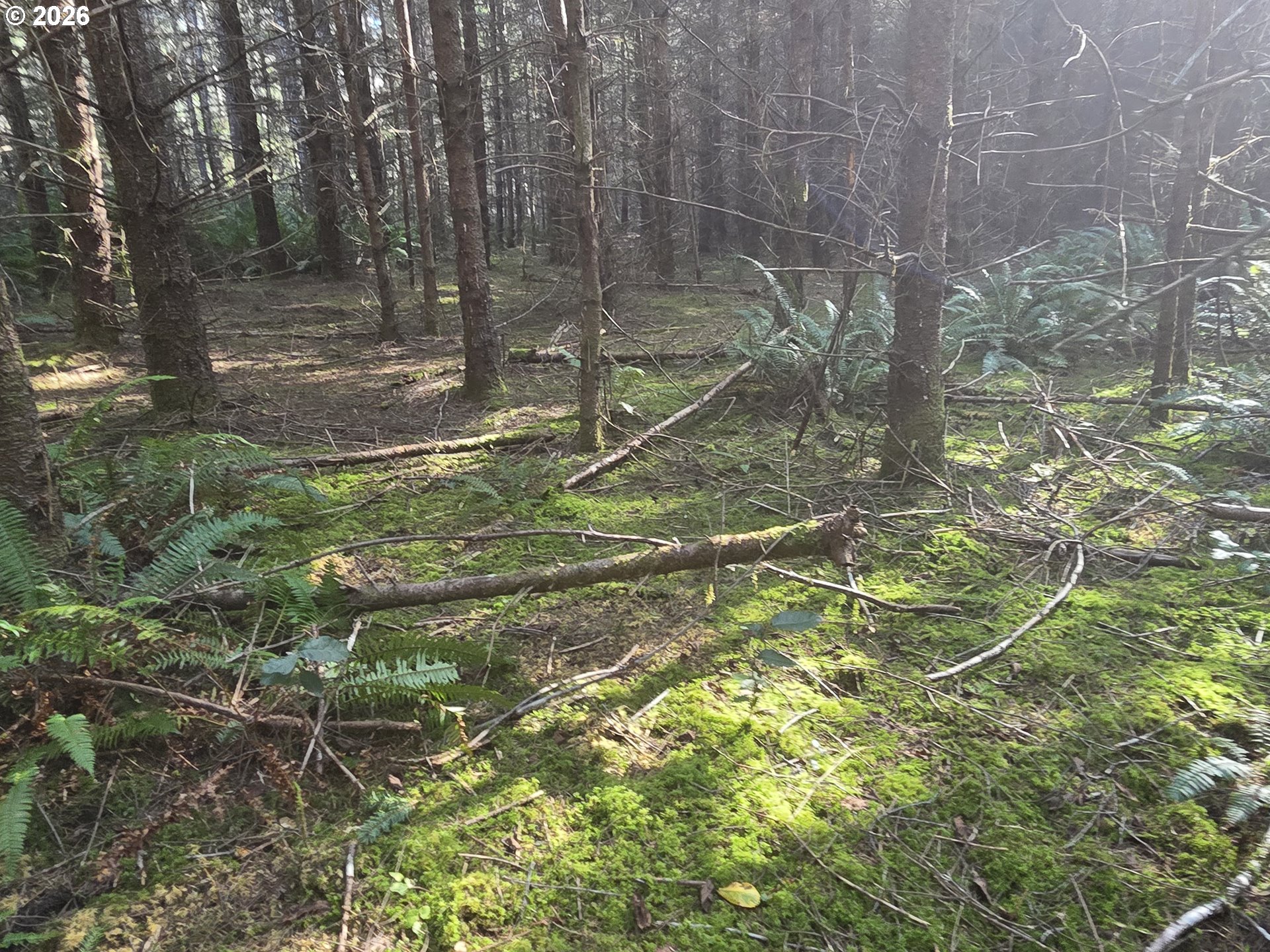 Greggs Creek Road, Unit 300 Gold Beach, OR 97444 - Photo 32 of 43 a backyard of a house