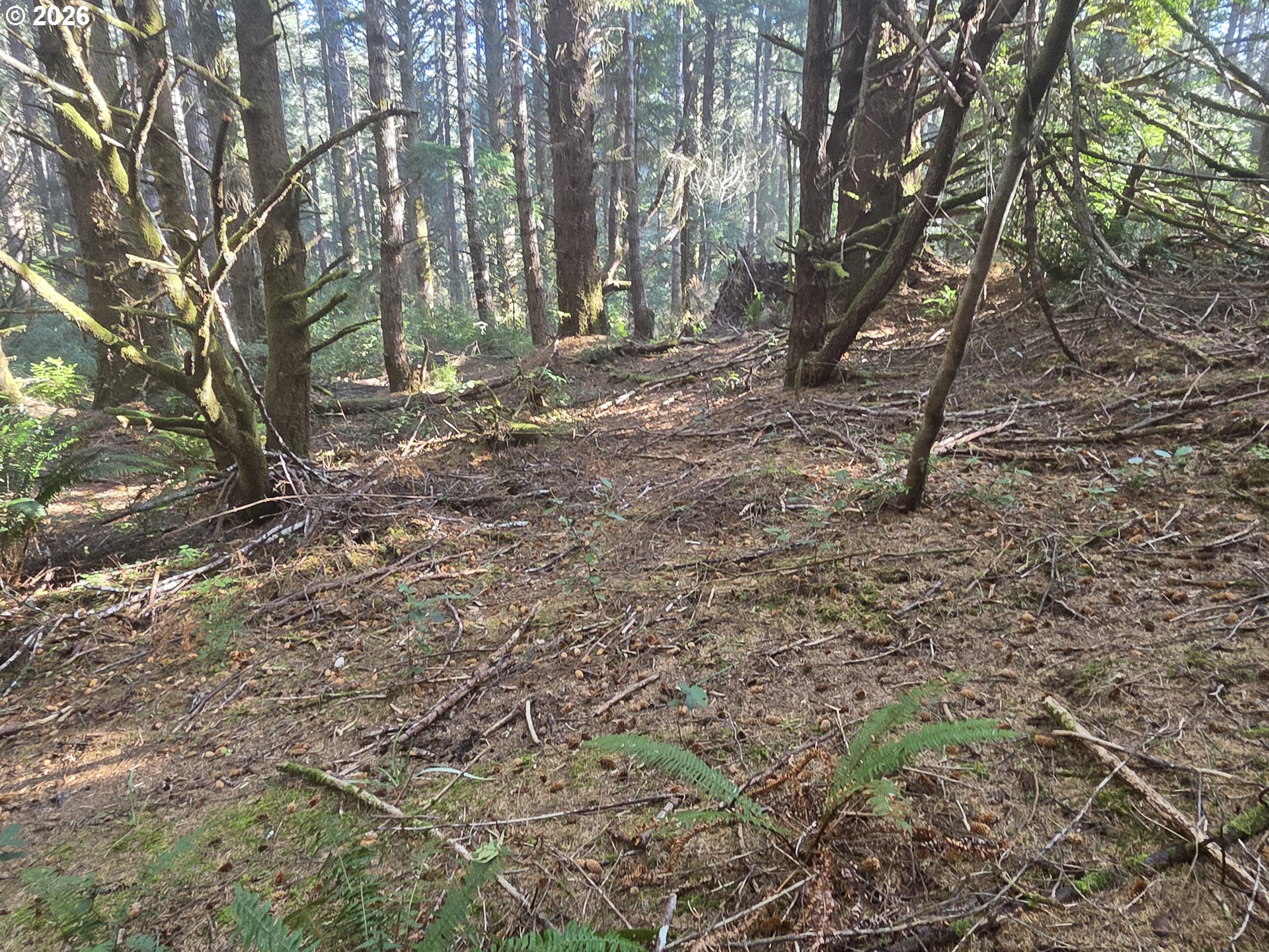 Greggs Creek Road, Unit 300 Gold Beach, OR 97444 - Photo 35 of 43 a backyard of a house with lots of green space