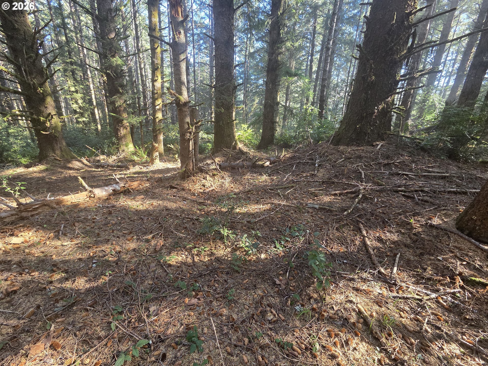 Greggs Creek Road, Unit 300 Gold Beach, OR 97444 - Photo 36 of 43 a backyard of a house with lots of green space