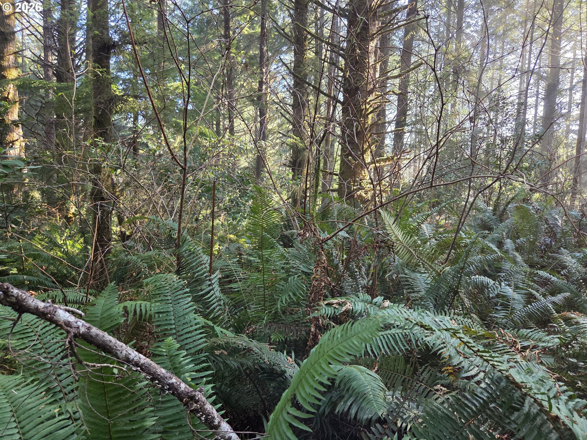 Greggs Creek Road, Unit 300 Gold Beach, OR 97444 - Photo 37 of 43 a view of a balcony with a tree