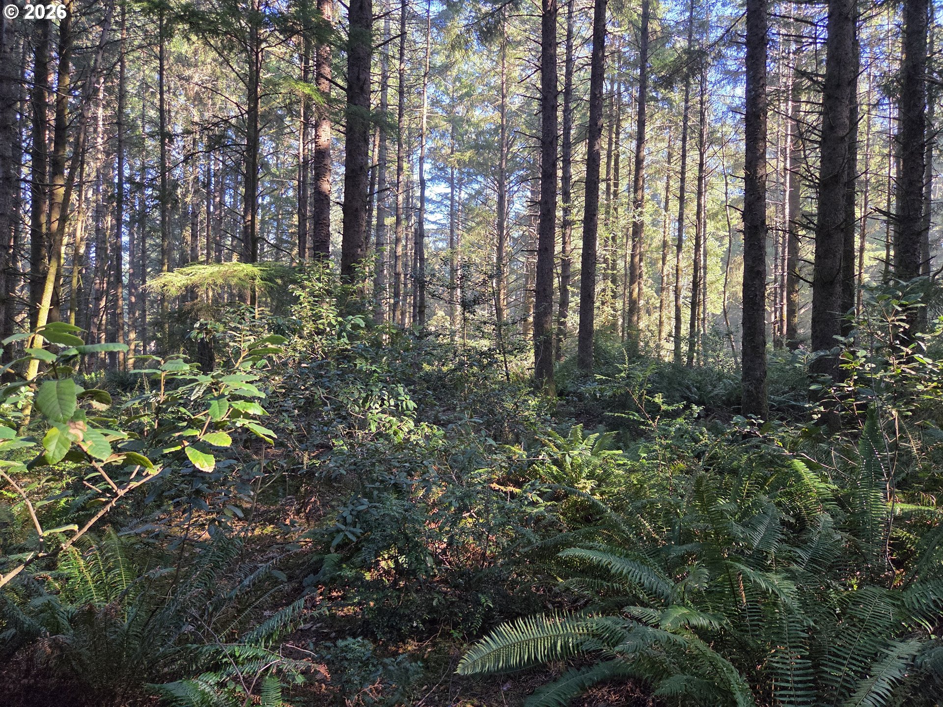 Greggs Creek Road, Unit 300 Gold Beach, OR 97444 - Photo 9 of 43