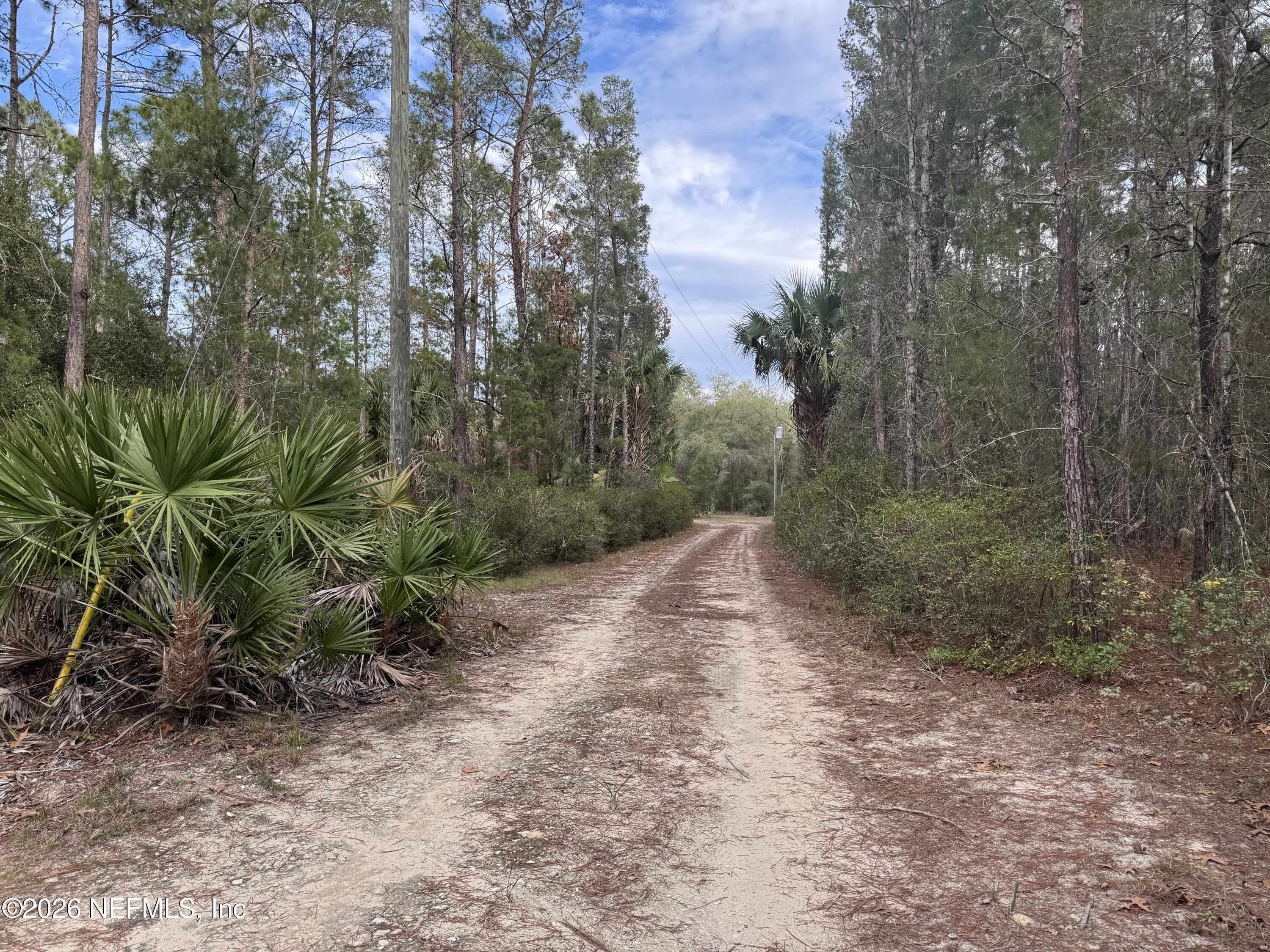 850 Cousintown Road Interlachen, FL 32148 - Photo 19 of 27 a view of a forest with trees in the background