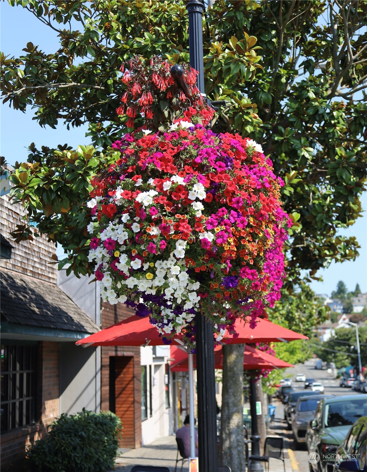 3121 West Government Way, Unit 405 Seattle, WA 98199 - Photo 23 of 29 a view of a house with a tree