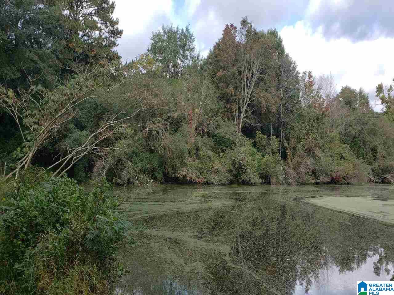 0 Eva Road Northeast, Unit 1 Eva, AL 35621 - Photo 2 of 6
