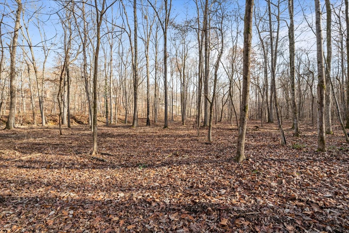 0 Rustling Oaks Drive Waverly, TN 37185 - Photo 11 of 28 a backyard of a house with lots of green space