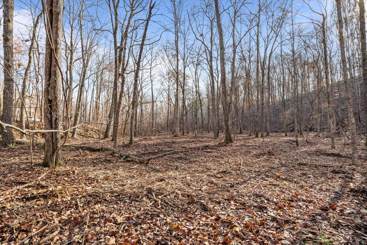 0 Rustling Oaks Drive Waverly, TN 37185 - Photo 12 of 28 a view of outdoor space with wooden fence