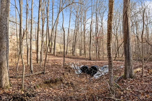 a view of a house with a snow on the road
