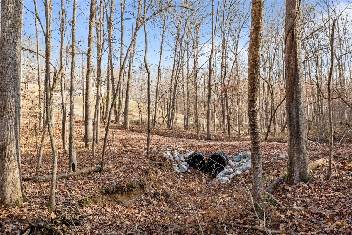 0 Rustling Oaks Drive Waverly, TN 37185 - Photo 13 of 28 a view of a backyard of the house