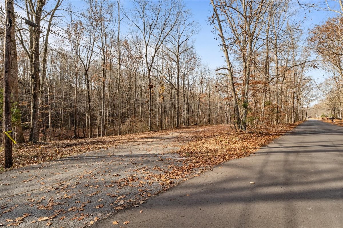 0 Rustling Oaks Drive Waverly, TN 37185 - Photo 14 of 28 a view of a house with a snow on the road