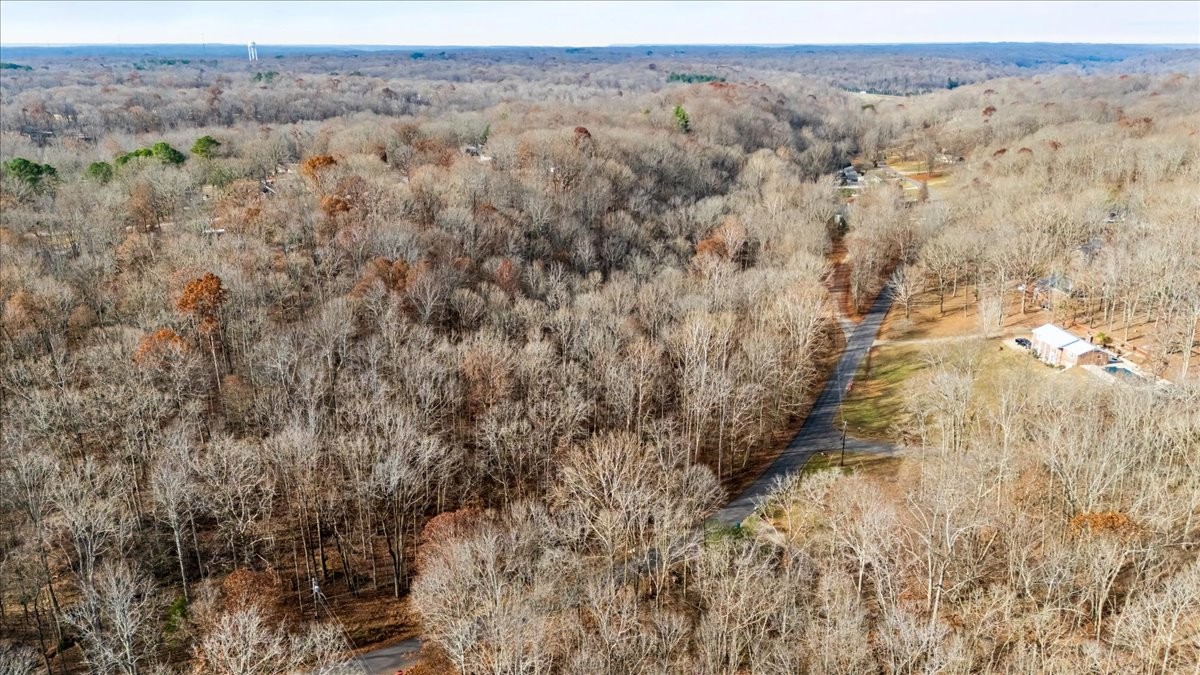 0 Rustling Oaks Drive Waverly, TN 37185 - Photo 16 of 28 a view of a dry yard with trees