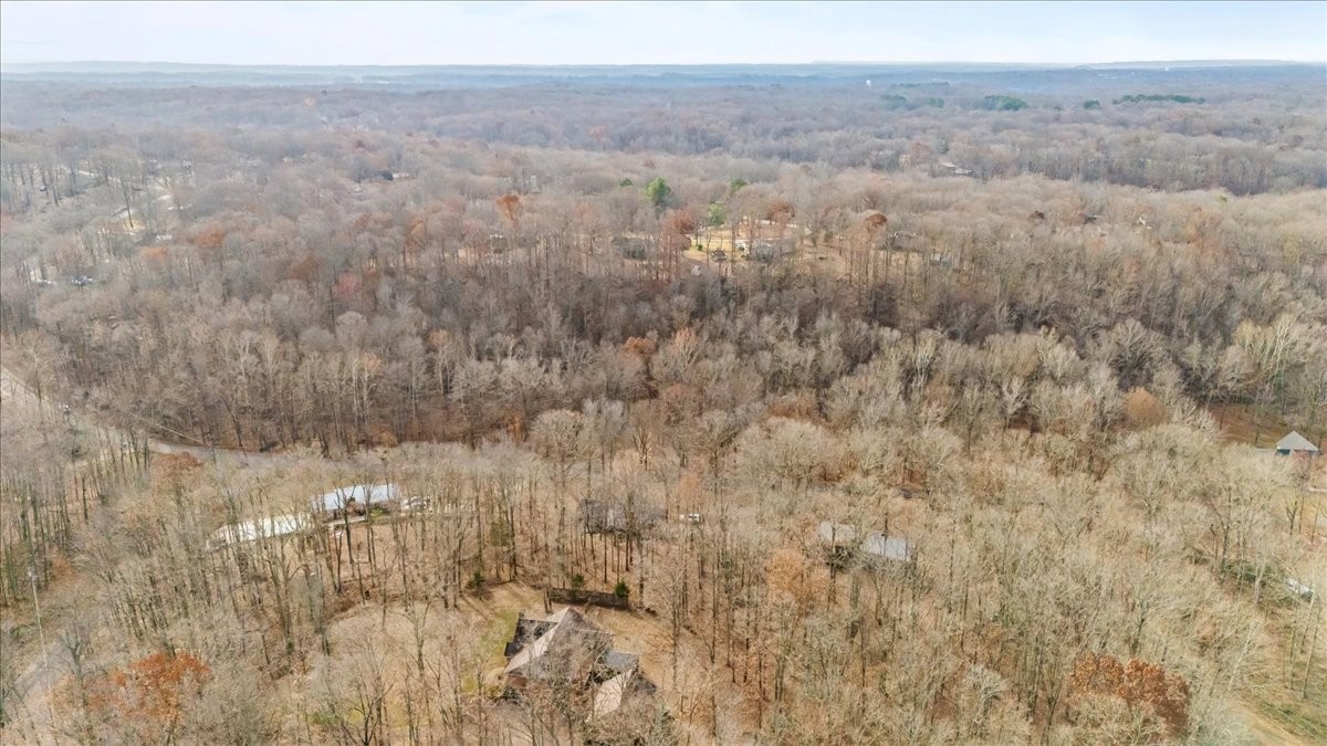 0 Rustling Oaks Drive Waverly, TN 37185 - Photo 17 of 28 a view of a dry yard