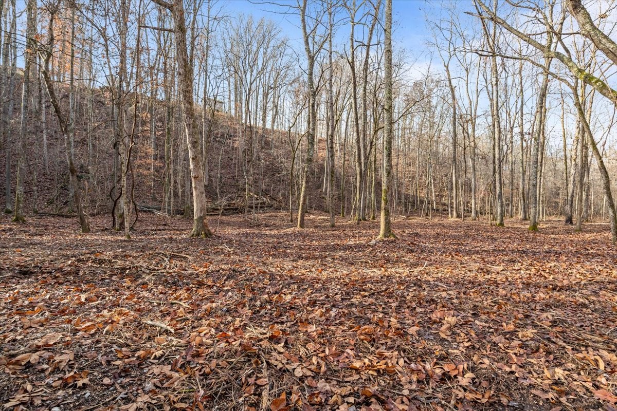 0 Rustling Oaks Drive Waverly, TN 37185 - Photo 2 of 28 a backyard of a house with lots of green space