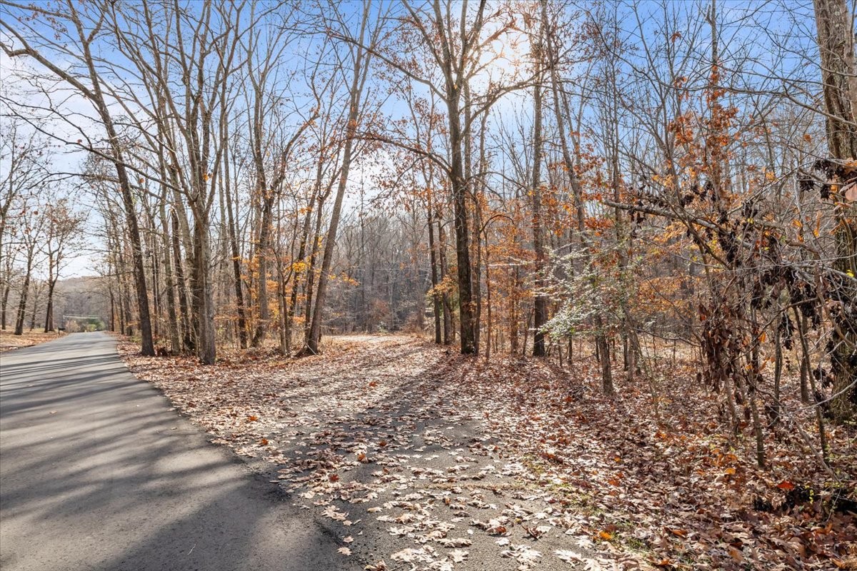 0 Rustling Oaks Drive Waverly, TN 37185 - Photo 4 of 28 a backyard of a house with lots of green space