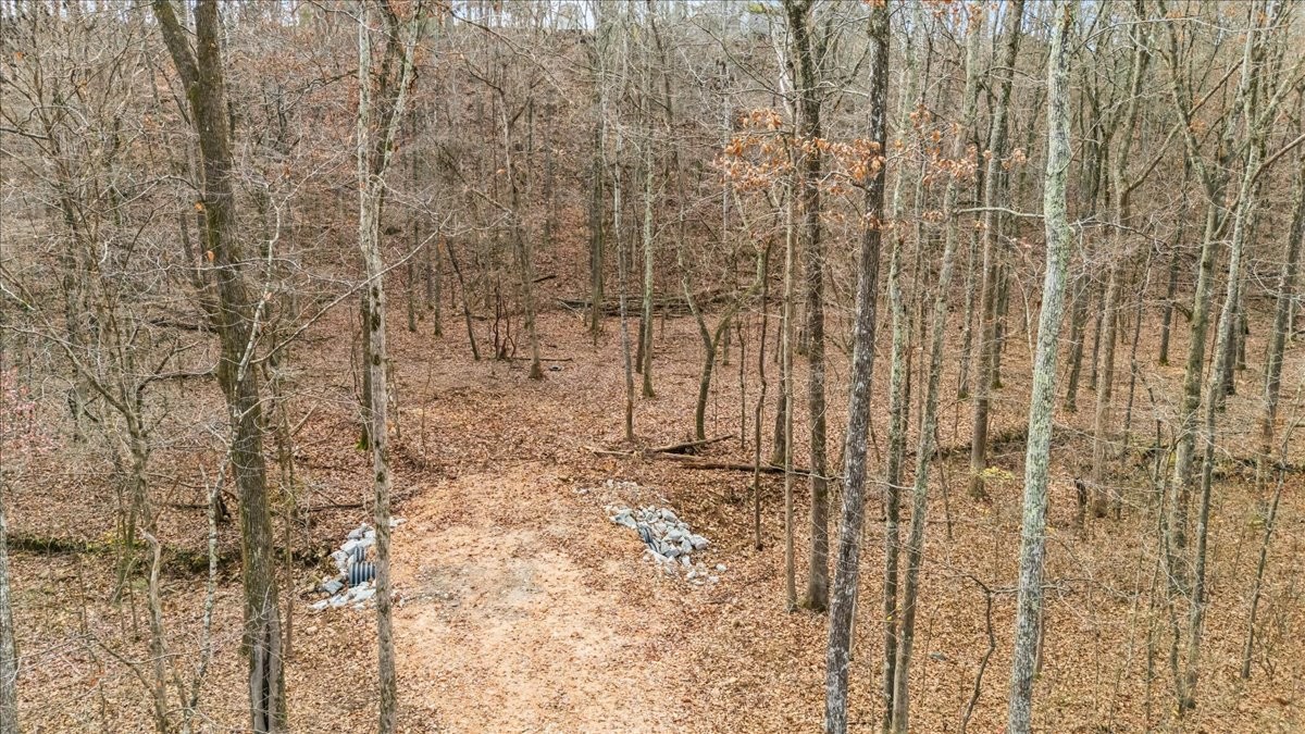 0 Rustling Oaks Drive Waverly, TN 37185 - Photo 5 of 28 a bathroom with a shower