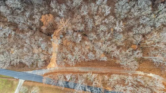 a view of backyard with wooden floor