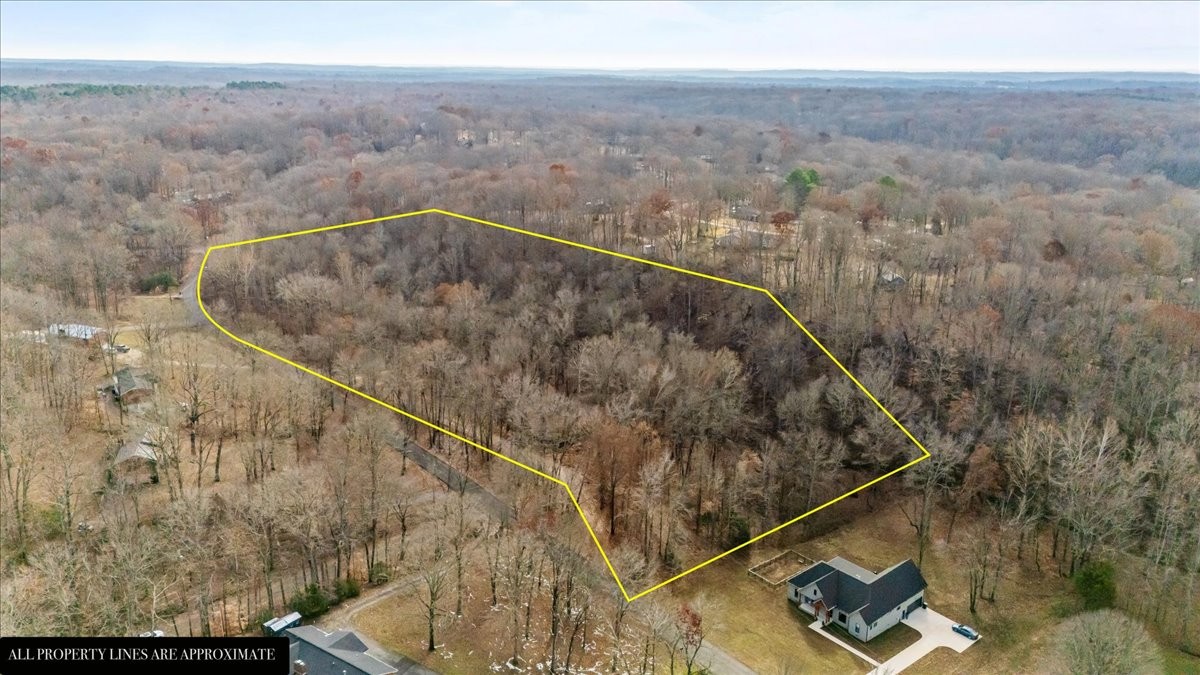 0 Rustling Oaks Drive Waverly, TN 37185 - Photo 8 of 28