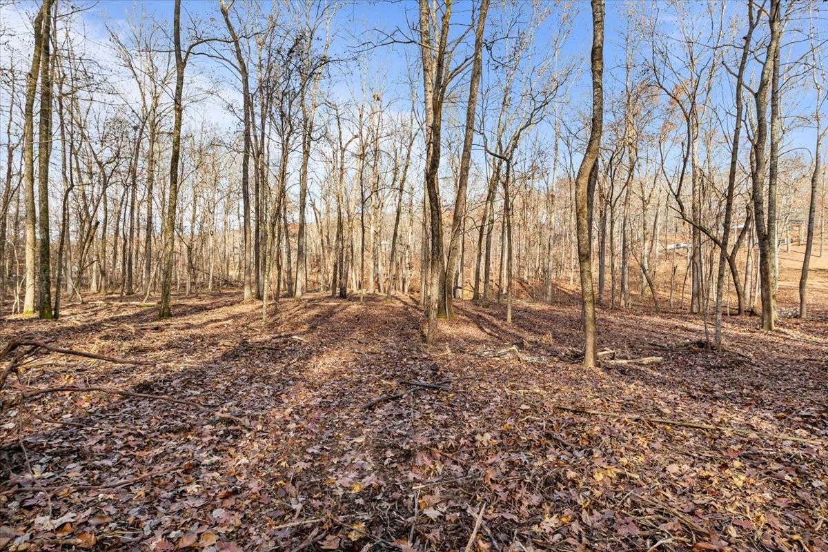 0 Rustling Oaks Drive Waverly, TN 37185 - Photo 9 of 28 a backyard of a house with lots of green space