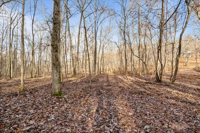 a backyard of a house with lots of green space