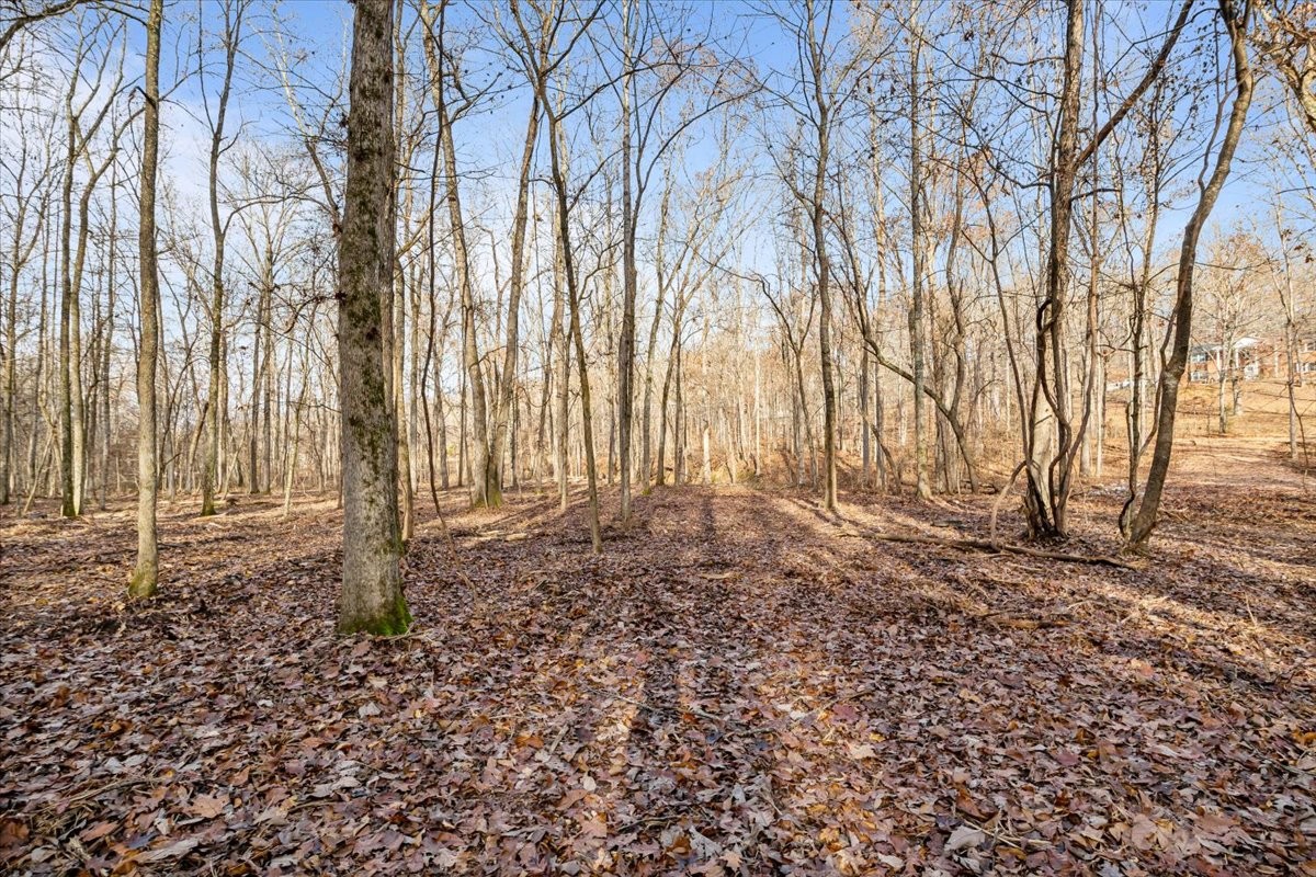 0 Rustling Oaks Drive Waverly, TN 37185 - Photo 10 of 28 a backyard of a house with lots of green space