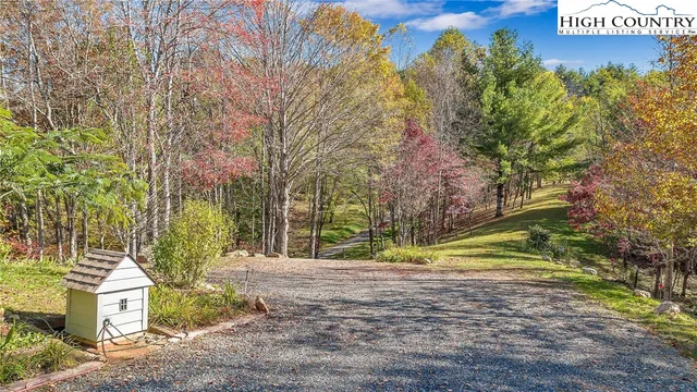 a view of a park with large trees