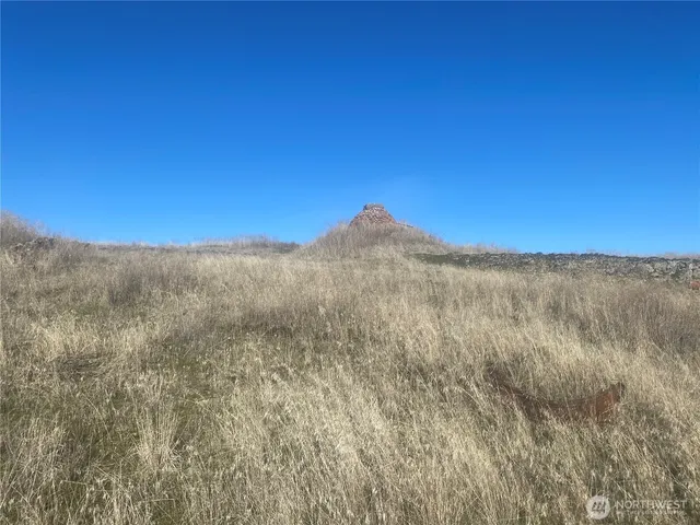 a view of mountain view with trees