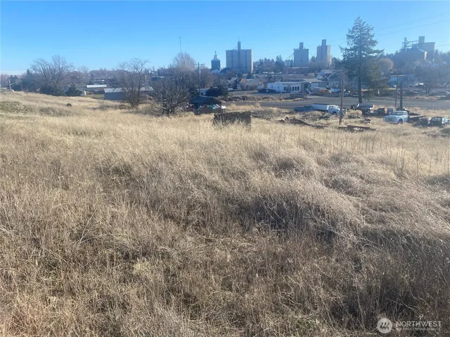 a view of lake and city