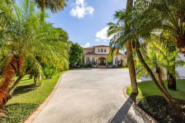 a house with palm tree in front of it