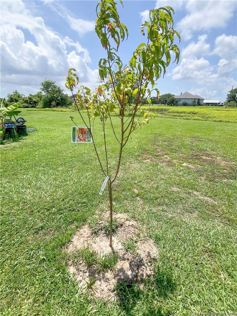 248 Faulk Lane Lake Charles, LA 70607 - Photo 23 of 25