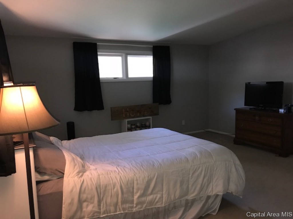 3014 South 2nd Street Springfield, IL 62703 - Photo 18 of 24