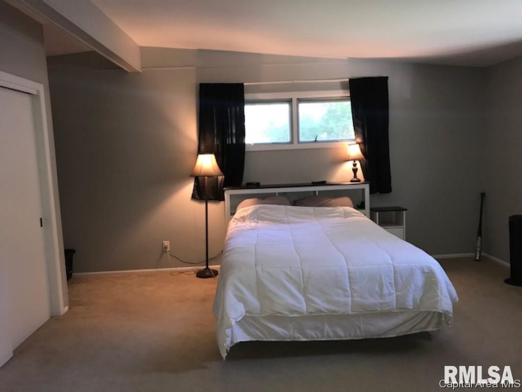 3014 South 2nd Street Springfield, IL 62703 - Photo 20 of 24