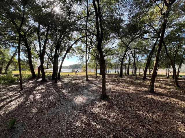 a view of open space with trees