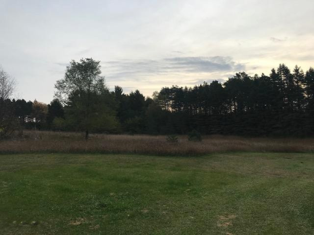 13685 Erwin Road Copemish, MI 49625 - Photo 11 of 56 IMG_4724