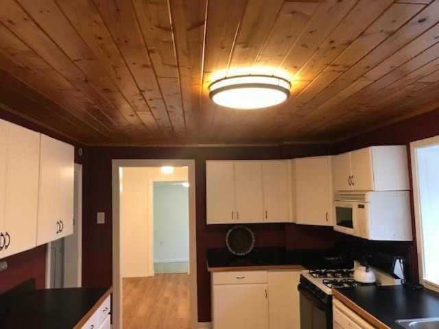 13685 Erwin Road Copemish, MI 49625 - Photo 28 of 56 IMG_4748
