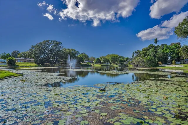 $420,000 | 2087 Hillwood Drive, Clearwater, FL 33763