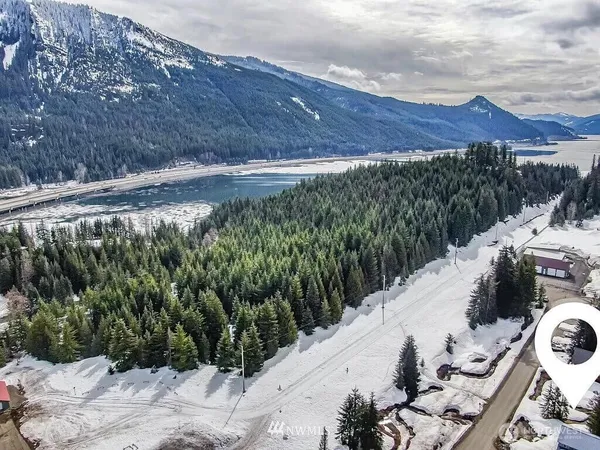 a view of a backyard with plants and a yard