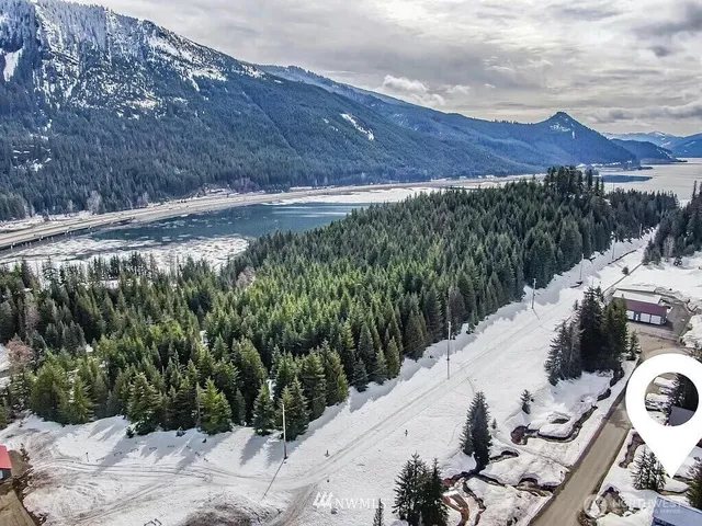 a view of a backyard with plants and a yard