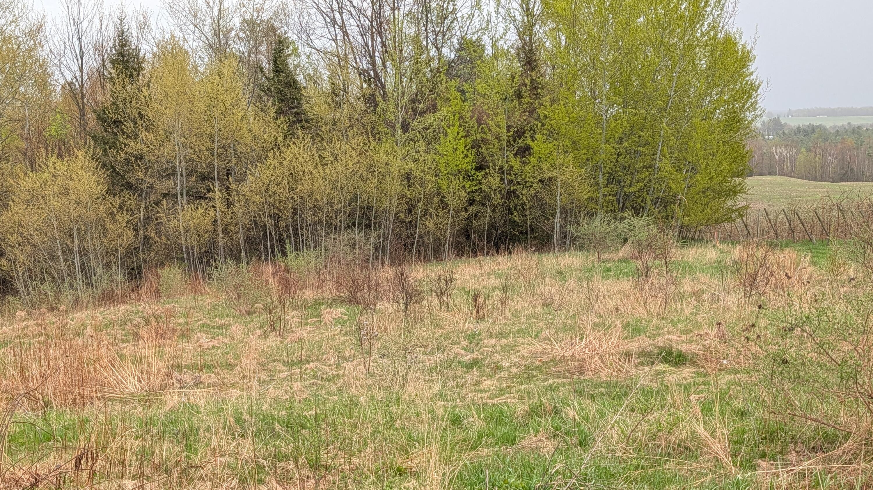 0 Calkins Road Peru, NY 12972 - Photo 4 of 4 6003
