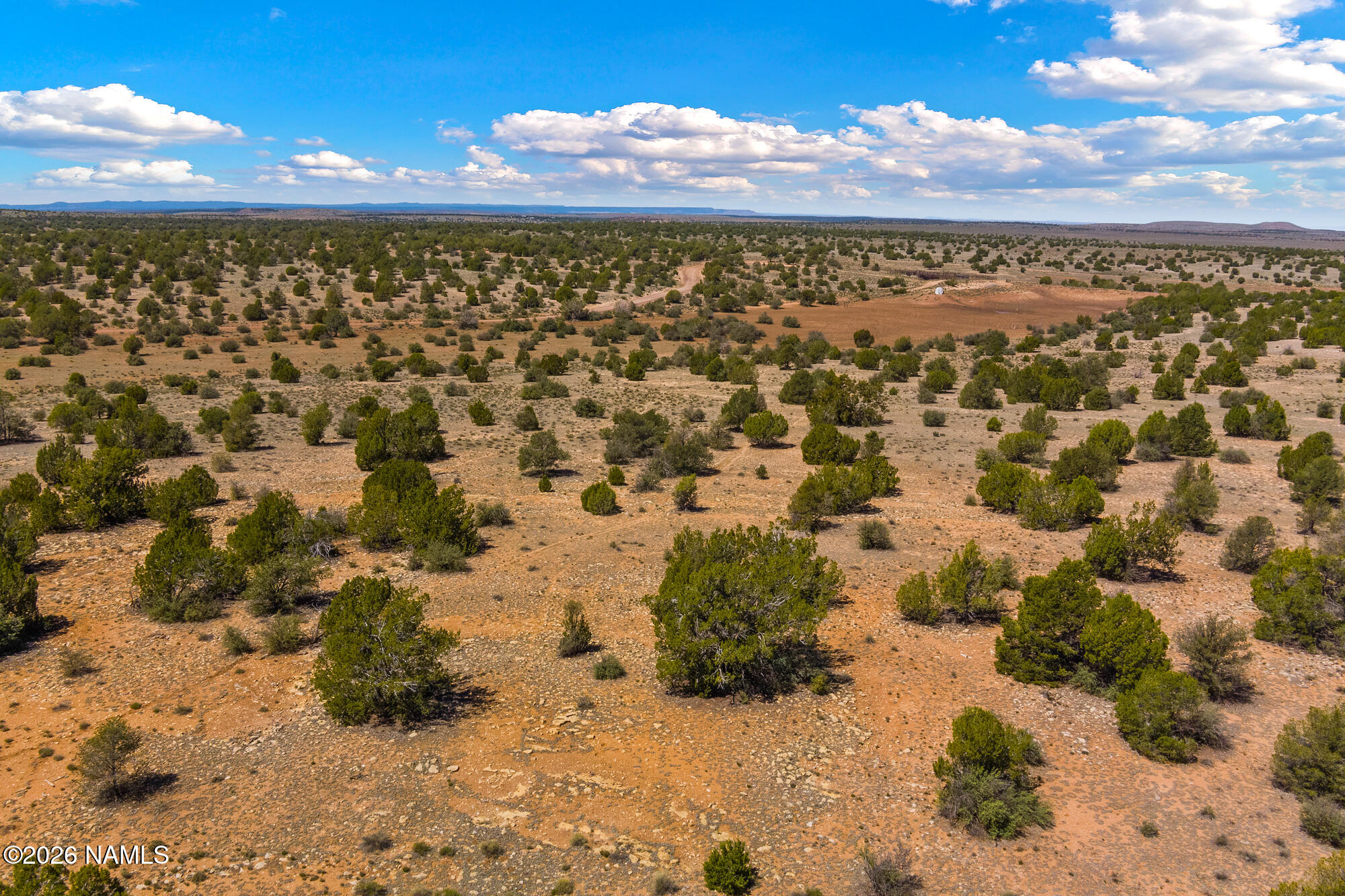 10529 West Red Bluff Road Williams, AZ 86046 - Photo 15 of 35 a view of a with large trees