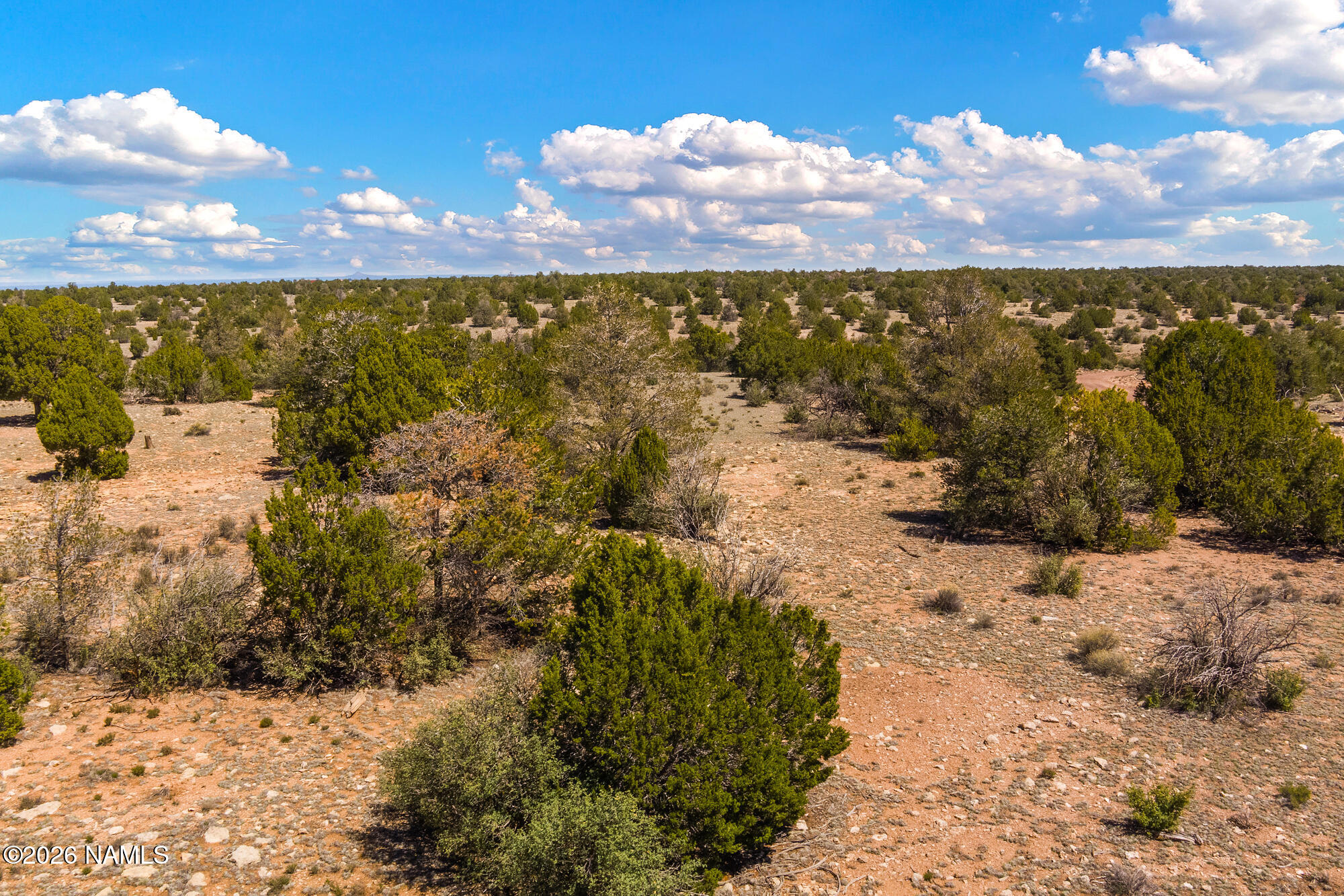 10529 West Red Bluff Road Williams, AZ 86046 - Photo 16 of 35 MAX_0054