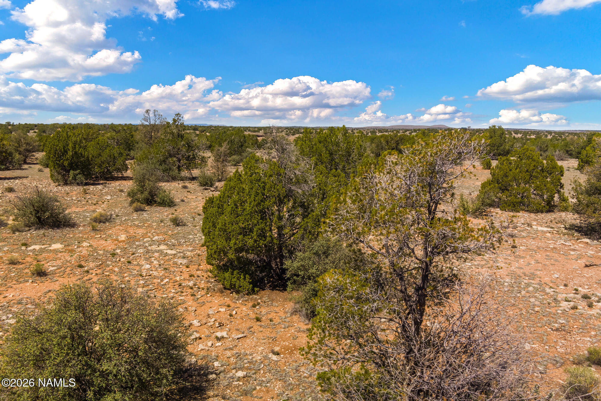 10529 West Red Bluff Road Williams, AZ 86046 - Photo 18 of 35 a view of a yard with an ocean beach