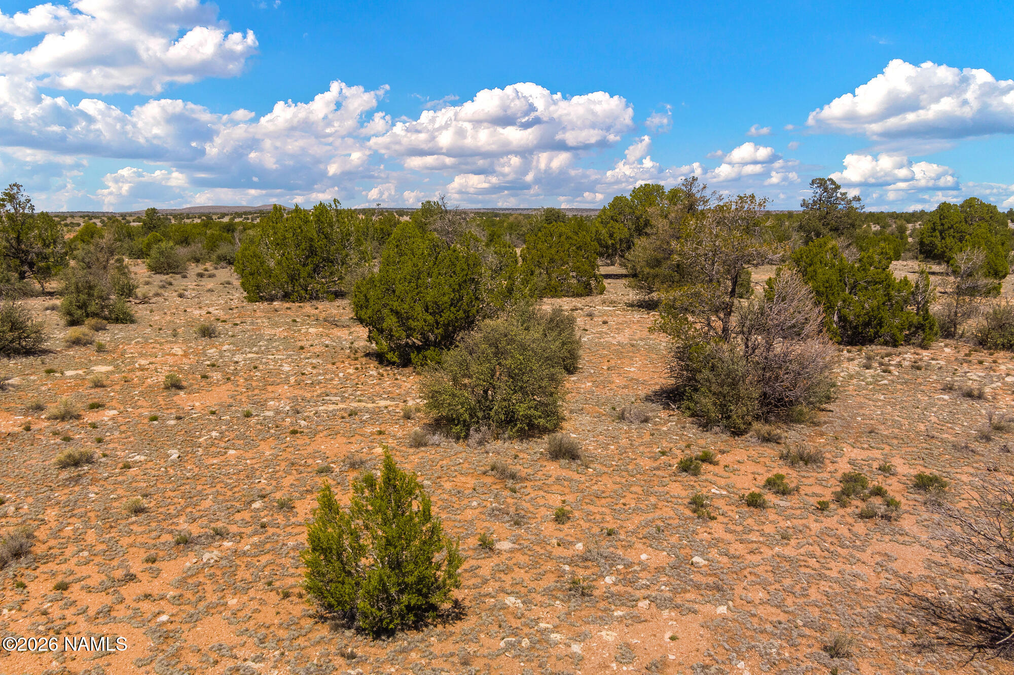 10529 West Red Bluff Road Williams, AZ 86046 - Photo 19 of 35 a view of a yard with wooden fence