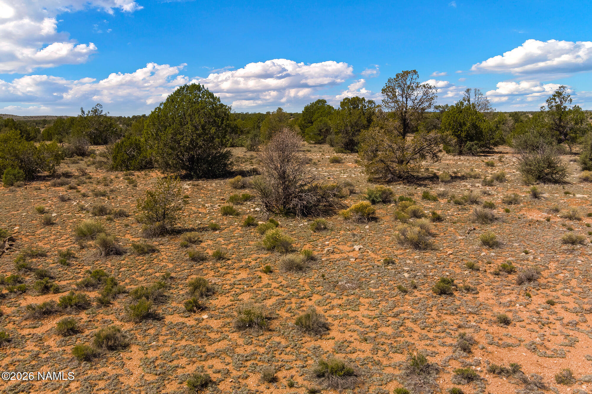 10529 West Red Bluff Road Williams, AZ 86046 - Photo 21 of 35 a view of a dry yard