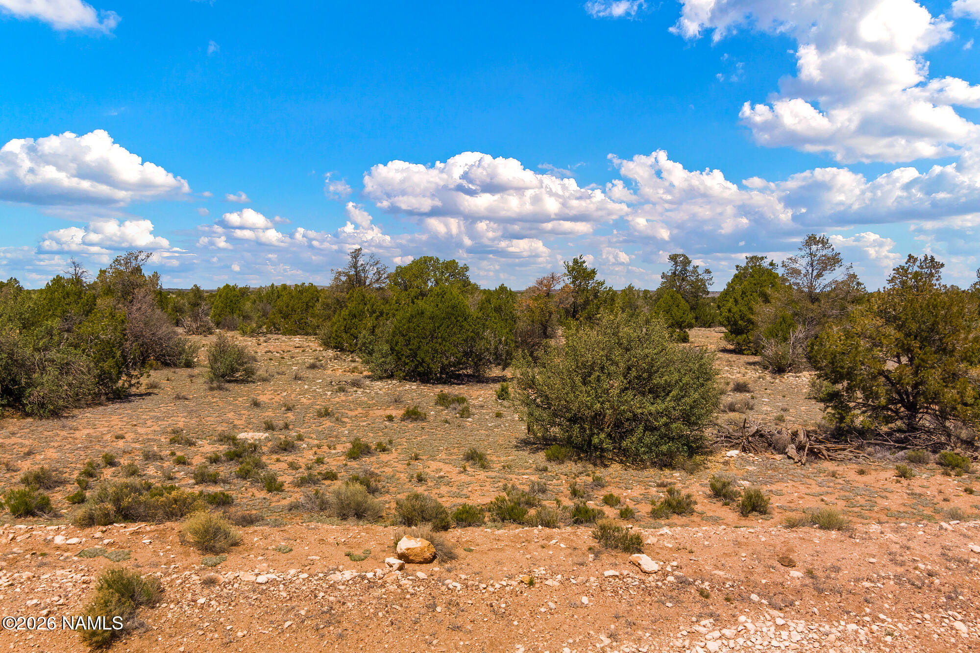 10529 West Red Bluff Road Williams, AZ 86046 - Photo 23 of 35 a view of a covered with snow in the yard