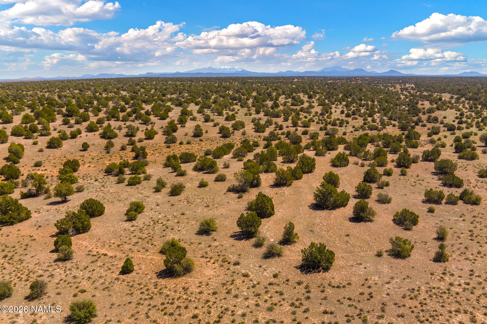 10529 West Red Bluff Road Williams, AZ 86046 - Photo 6 of 35 MAX_0036